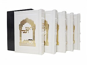 סט מחזורים עור אמיתי עם פלקטת זהב, לבן