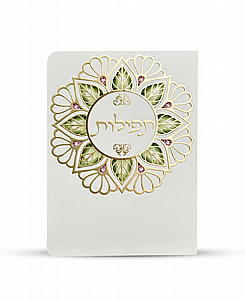 תפילות ותחינות